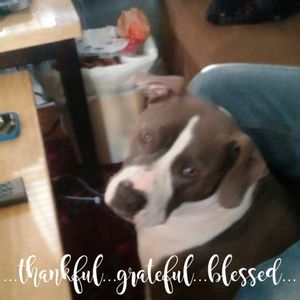 Meet your Posher, Jacob